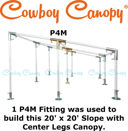 P4M